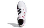 Кроссовки Adidas D Lillard 6