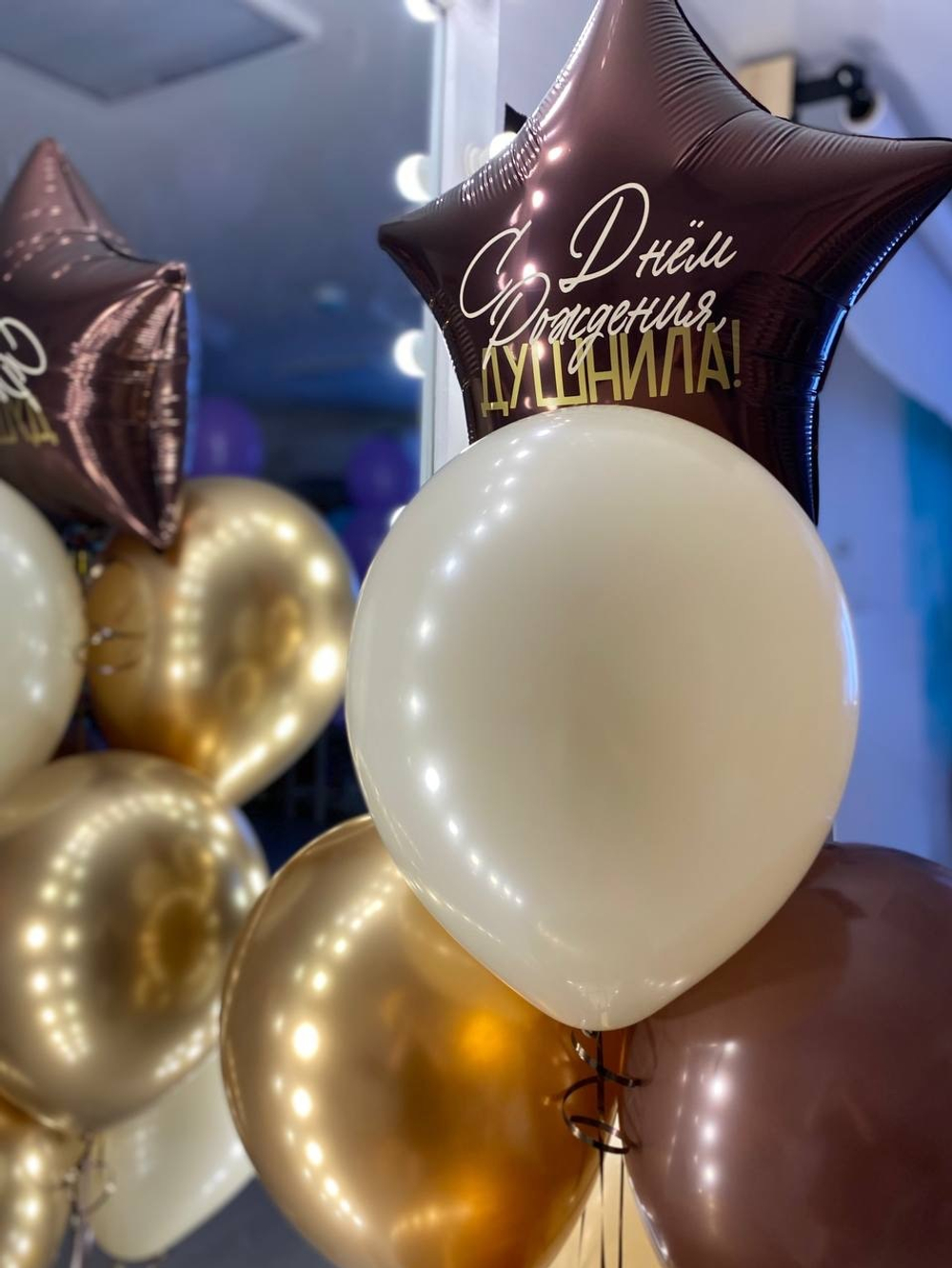 Воздушные шары С Днём рождения душнила №1599
