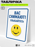Табличка для частной территории "Вас снимают, улыбайтесь", на дом, для участка, организаций и частных территорий, предупреждающая, 40х30 см, Silver Plane x Айдентика Технолоджи