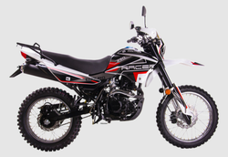 Мотоцикл Racer RC250GY-C2 Panther (Оранжевый) (Россия)