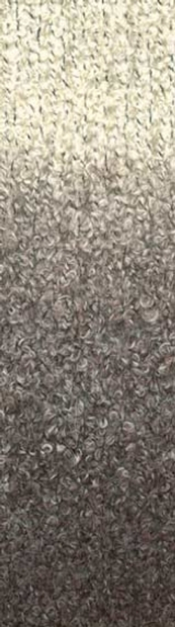 1009
