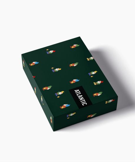 Трусы мужские боксеры (2шт) Atlantic 2GMH-031, хлопок, темно-зеленый + темно-синий