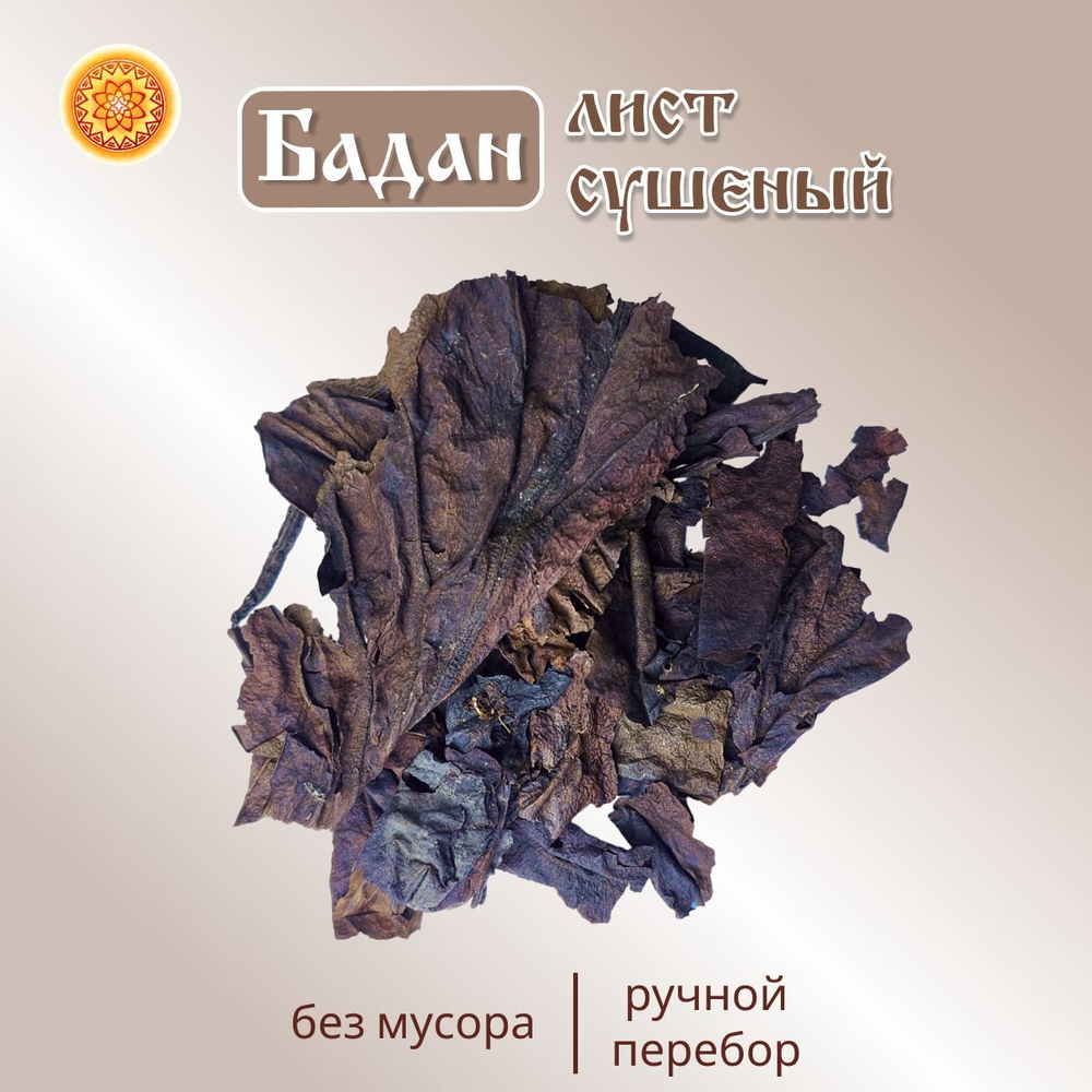 Бадан горный лист