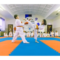 Будо-мат (татами) (1 плита 100x100x3 см, 1кв.м./уп)