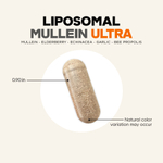 Codeage, Liposomal Mullein Ultra, липосомальный коровяк, 90 растительных капсул