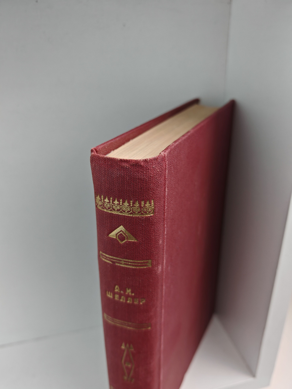 Полное собрание сочинений А. К. Шеллера-Михайлова. Том 12. Блага жизни. Господин пророк