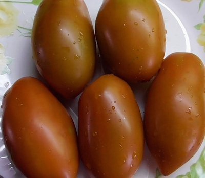 БРОНЗА АМАРИЛЛО