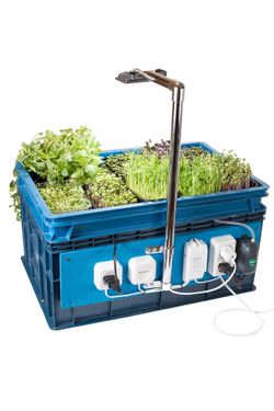 Гидропонная установка Home miniBoss 1.0