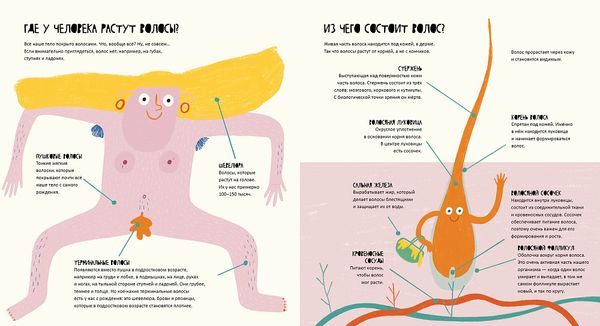 Тайная жизнь волос