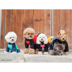 523 PA-OW Дождевик утепленный, унисекс