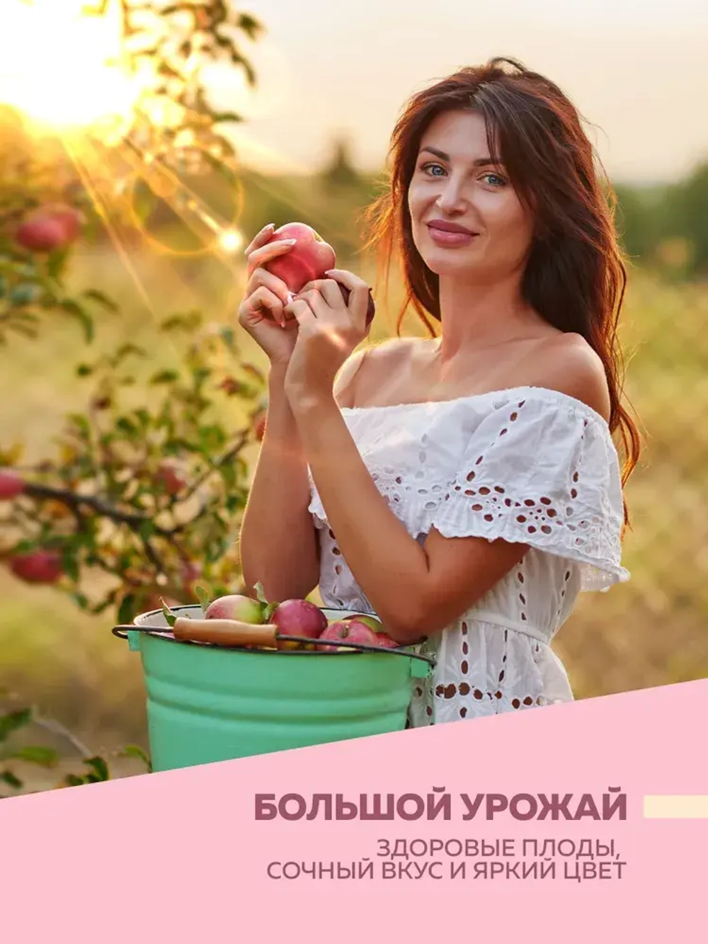 Краска побелка для садовых деревьев и кустарников 3 кг FARBITEX, с антибактериальными добавками для защиты коры от болезней и паразитов