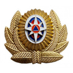 Кокарда МЧС большая с розой ветров