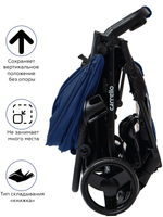 Коляска прогулочная CARRELLO Maestro CRL-1414