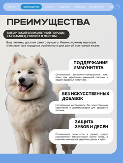 Корм сухой для взрослых собак породы Самоед, премиум полнорационный комплекс, с лососем, 12 кг, QUATTRO