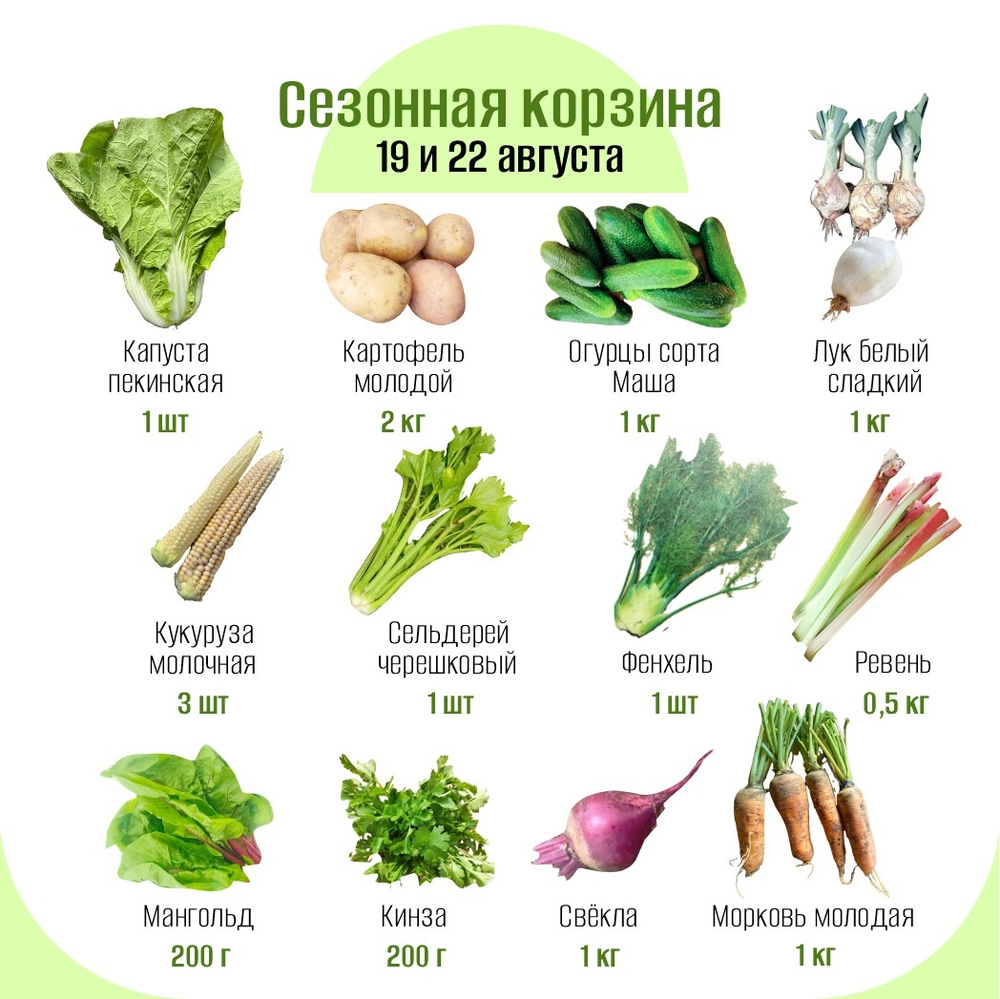 Сезонная корзина