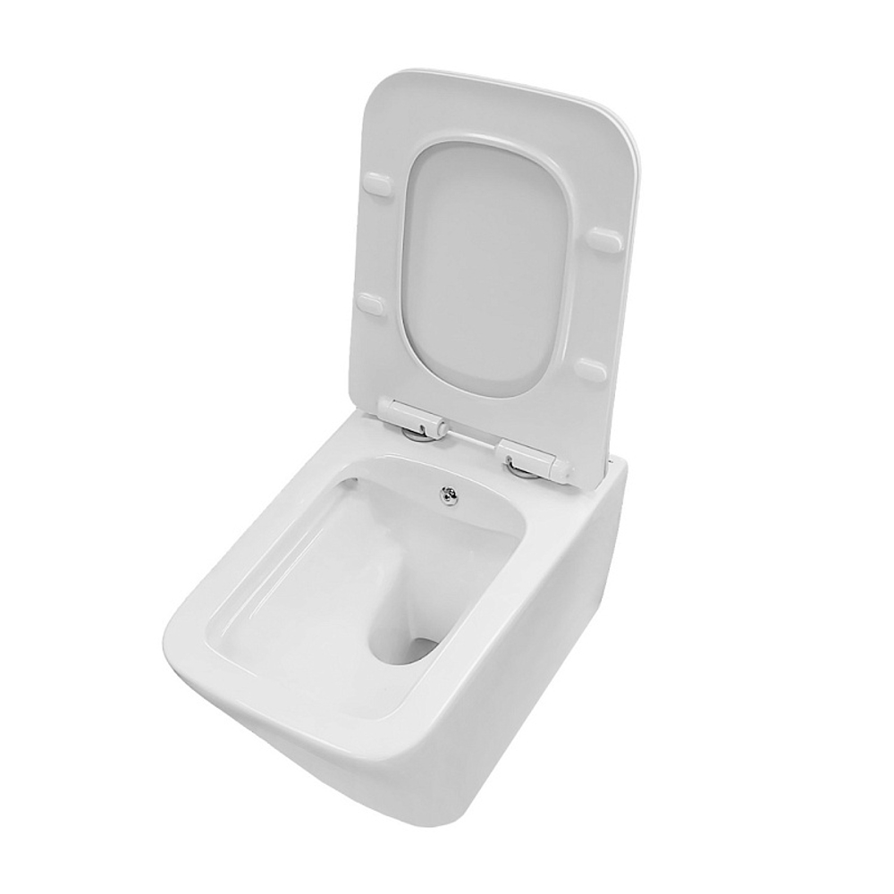 Унитаз подвесной Azario Dezi White BD 355х515х340 безободковый, с функцией биде, с быстросъемным сиденьем "Микролифт" (AZ-W05-SWBD)