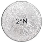 2aN, Gleaming Tension Pact, тон 21 светлый бежевый, 13 г (0,45 унции)