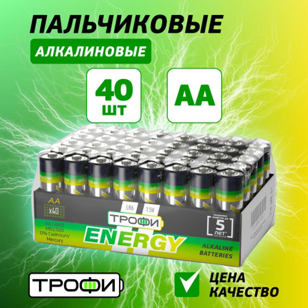 Батарейки Трофи LR6-40 bulk ENERGY Alkaline