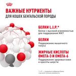 Royal Canin Bengal Adult БЕНГАЛ ЭДАЛТ Корм сухой для взрослых бенгальских кошек старше 12 месяцев 400г