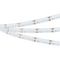 Светодиодная лента Arlight 16W/m 840Led/m CSP разноцветный/холодный белый 5M CSP-X840-12mm 24V RGBW-MIX 048945