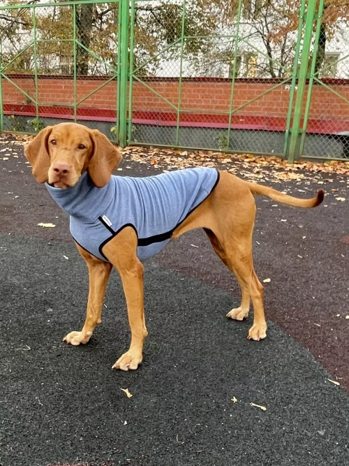 Свитер для собак на молнии попона