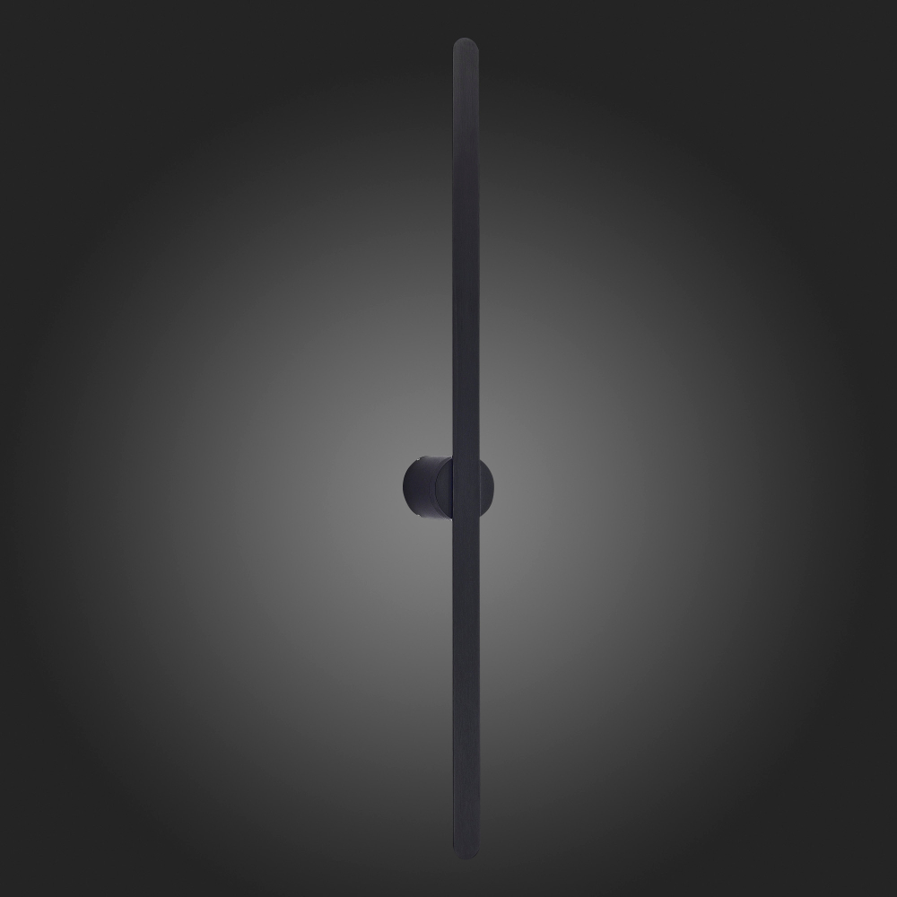 Светильник настенный ST Luce ST607.442.12