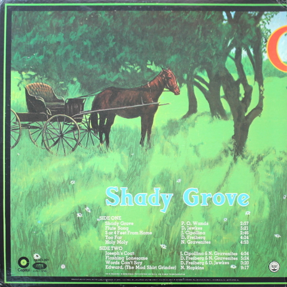 Quicksilver Messenger Service / Shady Grove (LP)