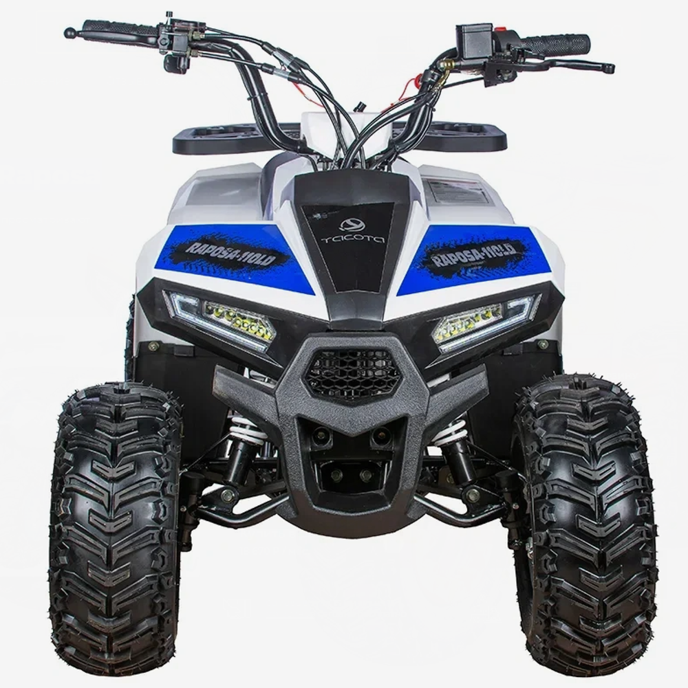 Квадроцикл Yacota Raposa