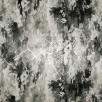 Тонкий плательный жаккард в оттенках серого