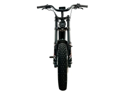 Электрофэтбайк Horza Reboot MAX 2024