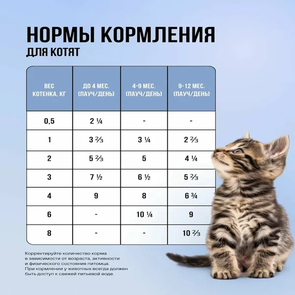 Пауч BOWL WOW для котят и беременных кошек с белой рыбой и тыквой, кусочки в соусе