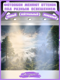 3D Фотообои утренний лес в тумане и небо