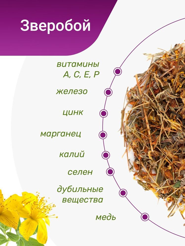 Зверобой трава