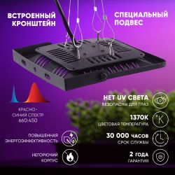 Фитопрожектор для растений светодиодный ЭРА FITO-50W-LED-BLUERED для цветения и плодоношения 50Вт красно-синего спектра