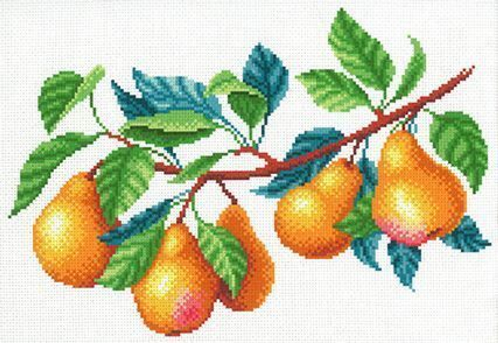 Рисунок-схема на канве для вышивания крестом "Груша", 40 х 30 см / 30 х 20 см (Россия)
