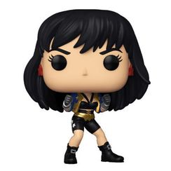 Funko Pop!  Heroes: WW 80th- WW (The Contest)