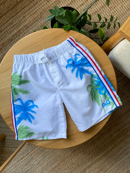 Шорты-плавки Dolce&Gabbana, 110