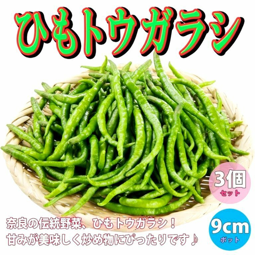 Японский Пряный Сладкий Струнный Перец Химо Тогараши - Himo Togarashi ひも唐辛子