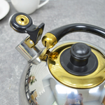 Чайник 2,5л со свистком НМ 5519