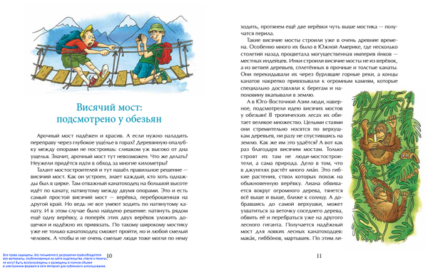 Какие бывают мосты