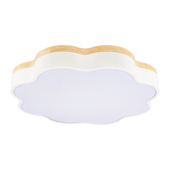 Потолочный светодиодный светильник Loft IT Axel 10225/36 White