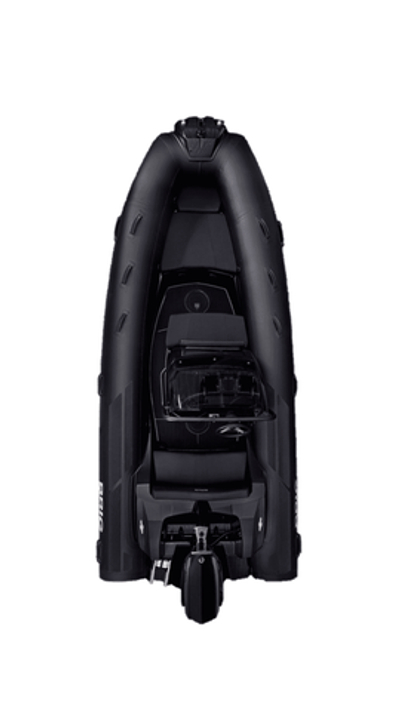 Лодка РИБ BRIG EAGLE 5