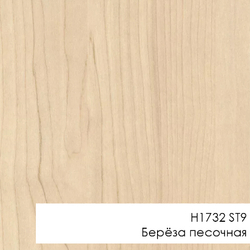 M+2СТ - H1732 ST9 Берёза песочная