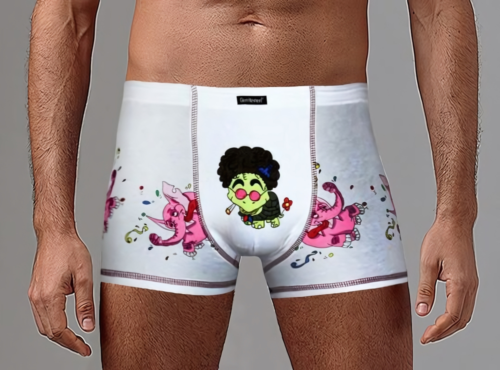 Мужские трусы-боксеры с забавным принтом - слонами и черепахой (Размер: L) (Цвет: белый)