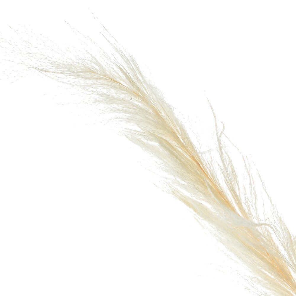 GAEM Ветка "Сухоцвет", L8 W8 H90 см