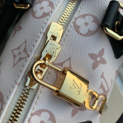 Louis Vuitton Speedy 20