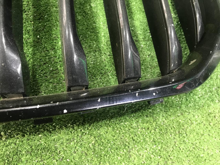 Решетка радиатора BMW X7 G07 (2019-2022)