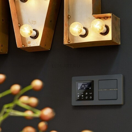 Дизайнерские розетки , выключатели JUNG