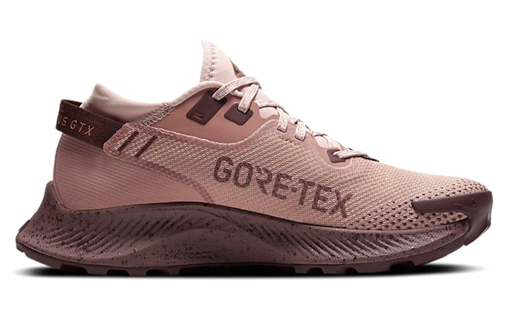 Кроссовки Nike Pegasus Trail 2 Gore-Tex (Женская размерная сетка)
