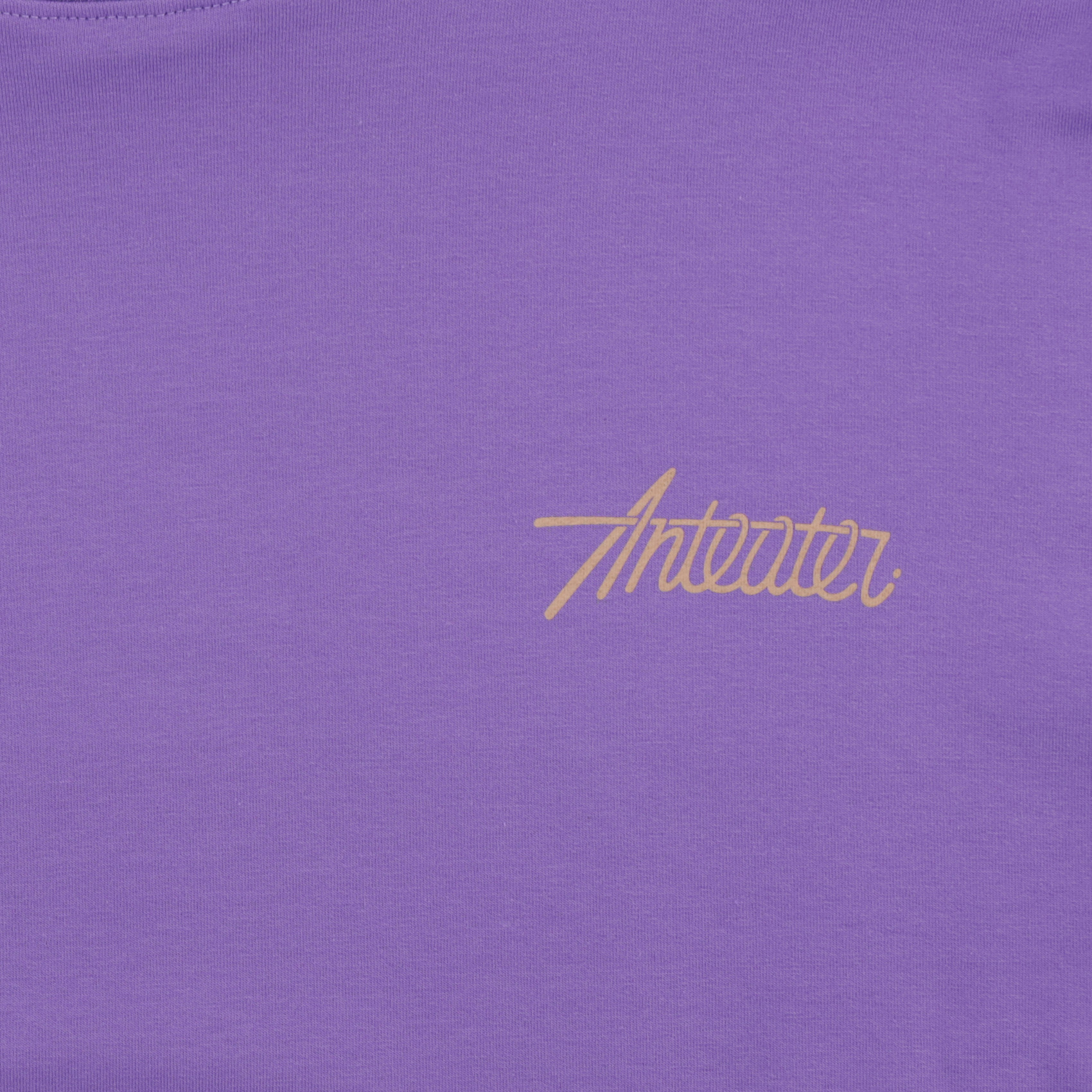 Футболка Anteater Phat Tee (purple) артикул: - купить в магазине Дайс